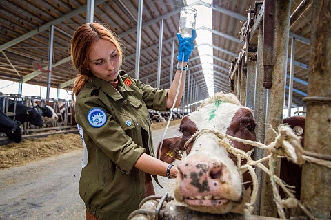 В Крыму пройдет Всероссийская школа руководителей студенческих сельскохозяйственных отрядов